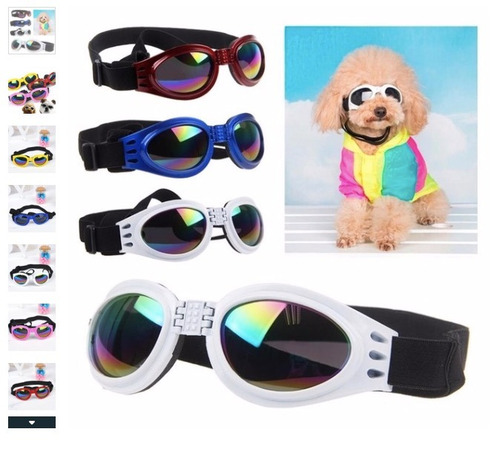 5 Gafas Perros Proteccion Uv Envio Gratis