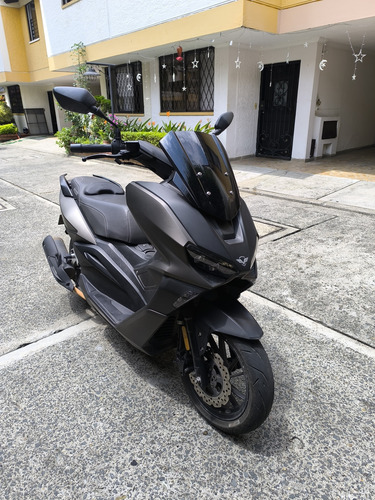 Victory Black 2023