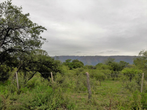Imagen 2 de 8 de Terreno - Los Molles