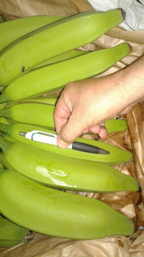 Imagem 5 de 6 de +kacho - Fertilizante Mineral Misto (aplicação No Cacho)