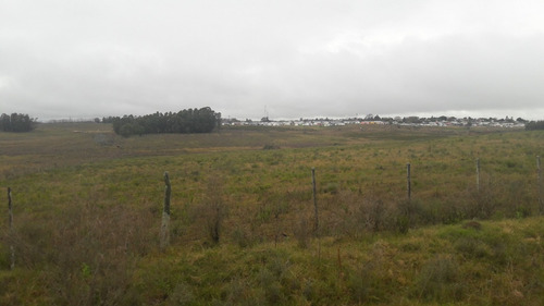7 Hectáreas Y Media,chacra A La Venta En Canelones