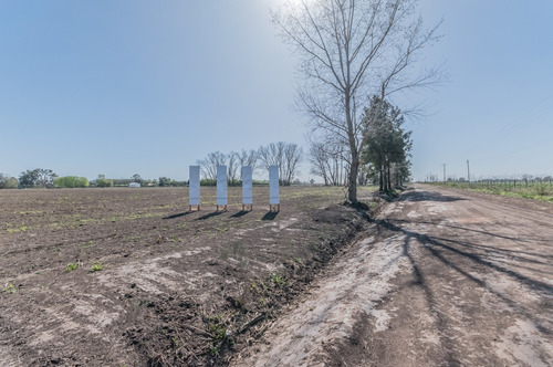 Terreno Lote En Venta En Cucullu, San Andres De Giles, Resto De La Provincia