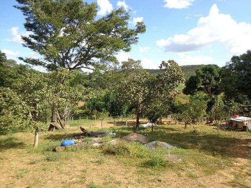 Imagem 7 de 30 de Chacara Com 2 Alqueire - Casa Com Laje, Barragem Chacaras Brito, Luziania - Meuimo562 - 71128673