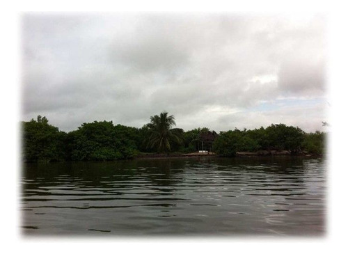 Terreno En Venta Quintana Roo ¡una Gran Inversion!