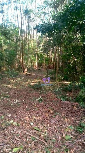 Terreno À Venda, 2600 M² Em Condomínio Fechado - Ecoville - Araçariguama/são Paulo - Te0608