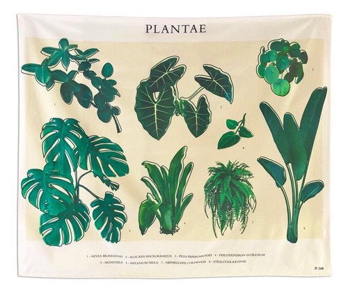 Tapiz Decorativo Botánico Con Ilustraciones De Plantas Verde Estampado