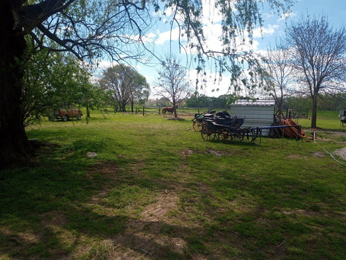 Imagen 9 de 30 de Campo En Venta Zona Polo, Pilar, Con 2 Canchas De Polo Y Varias Mejoras