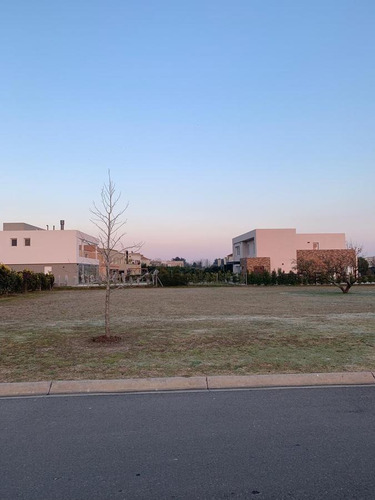 Imagen 3 de 23 de Terreno - Ayres Plaza