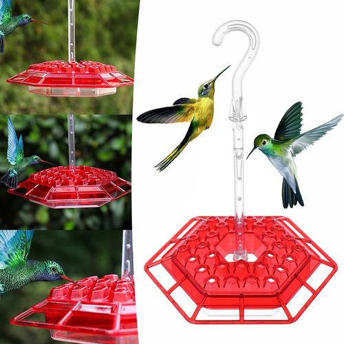 Imagem 8 de 10 de Alimentador Bebedouro Inteligente Hexagonal Para Beija-flor