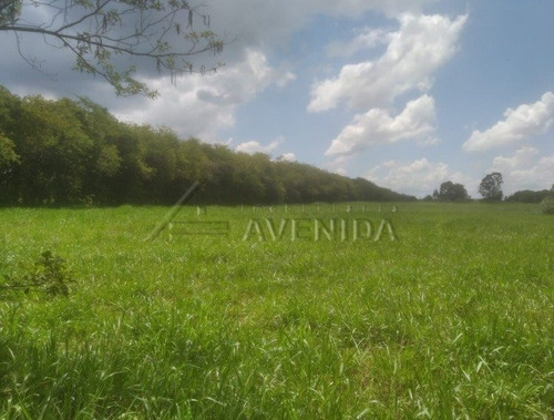 Imagem 8 de 15 de Area - Area Rural De Cambe - Ref: 10356 - V-10356