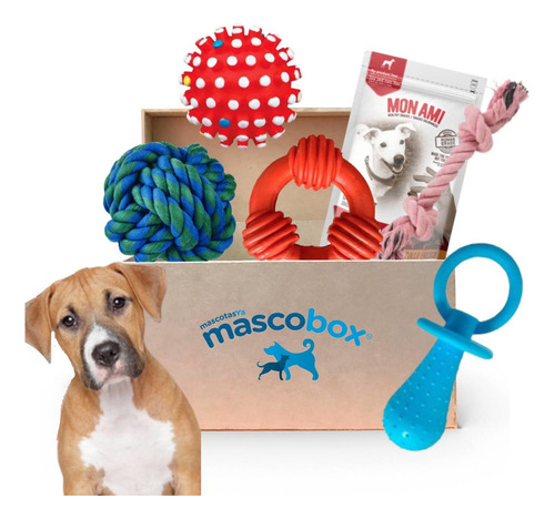 Juguetes Mascobox Full Pelota Accesorio Perro + Envio