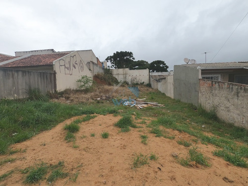 Imagem 17 de 25 de Terreno 12m X 30m, Disponível Para Venda No Bairro Gralha Azul, Na Fazenda Rio Grande! - Te00103 - 70075859