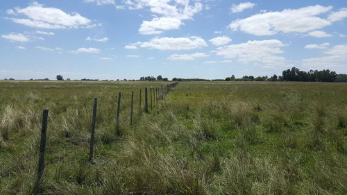 450 Has - Campo Ganadero En Venta A Metros De Ruta !!!