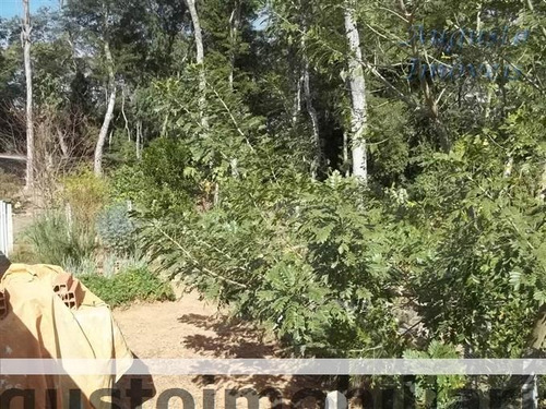 Imagem 14 de 29 de Chácaras Em Condomínio À Venda Em Atibaia/sp - Compre O Seu Chácaras Em Condomínio Aqui! - 1209535