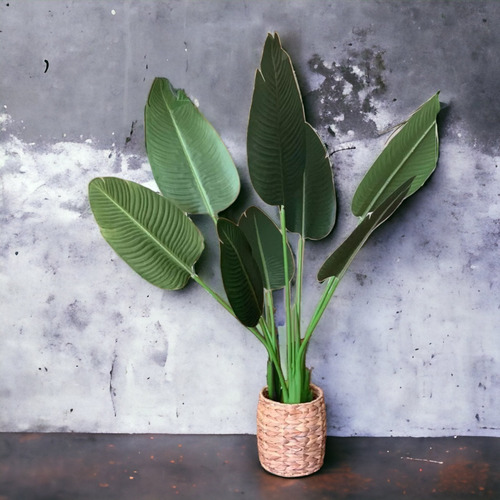 Plantas Artificiales Grande Deco Con Maceta Ave De Paraíso