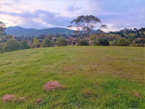 Lote Para Venta En La Ceja Sector Via San Antonio (19996).