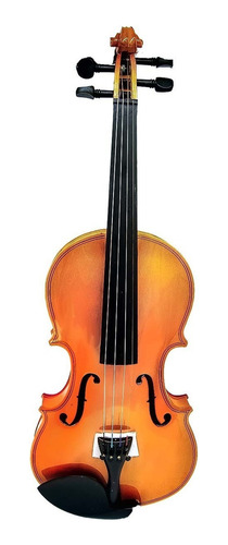 Violín 4-4 Acústico Profesional Madera Estuche Y Accesorios