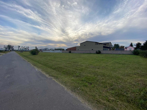 Imagen 1 de 5 de 2 Lotes En Venta - Barrio La Martina, Luján