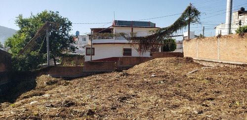 Imagen 8 de 15 de Lote Dharma