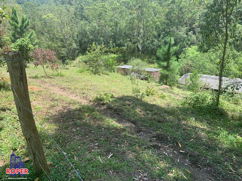 Imagem 23 de 23 de Chácara Com 35.000 M² Com 3 Casas/ Lago E Nascente À Venda Em Embu Guaçu/ São Lourenço Da Serra - Ch01031 - 34651874