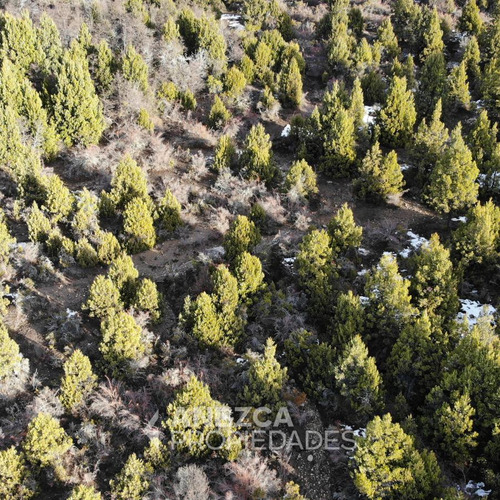 Campo De 8 Hectáreas - Costa Lago Lezama - Cholila