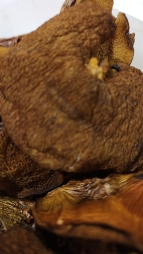 Hongos Frescos Boletus X Kgrs De Pino