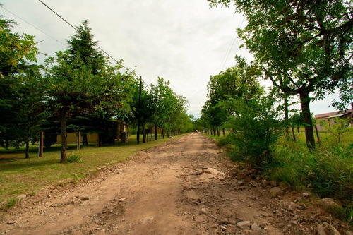 Imagen 6 de 9 de Lote De 1500 M2 En Venta, En Las Sierras De Córdoba.