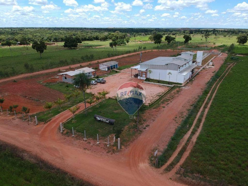 Imagem 5 de 16 de Frigorífico - Venda - De R$ 8.000.000 Por R$ 7.500.000 - Poconé - Ba0006