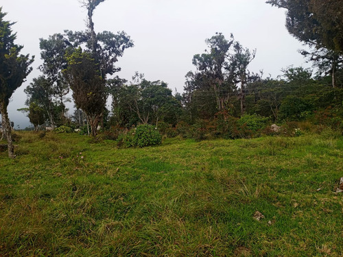 Finca En Venta Aldea La Montaña-lobatera/im