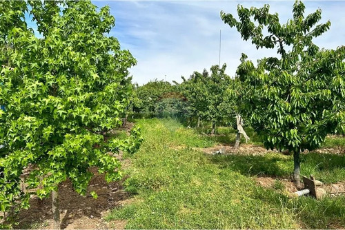 Parcela Agrícola En Curicó, Maule