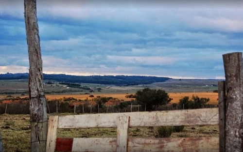 Quinta En Venta De 5 Dormitorios En Jose Ignacio