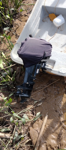 Bote Chambito River Truck