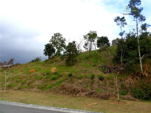 Imagem 1 de 2 de Terreno Residencial À Venda, Reserva Ibirapitanga, Santa Isabel. - Te0058
