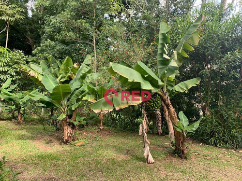 Imagem 4 de 30 de Chácara Com 6 Dormitórios À Venda, 7800 M² Por R$ 3.000.000,00 - Vila Darcy Penteado (mailasqui) - São Roque/sp - Ch0122