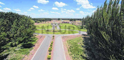 Lote Canales De Plottier