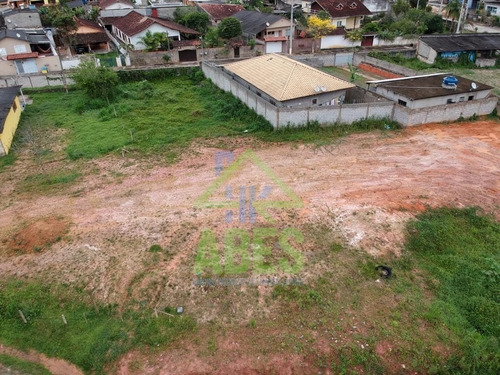 Imagem 3 de 8 de Terreno - Te00005 - 68383003