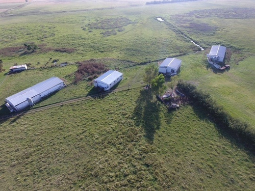 Imagen 15 de 18 de Venta Chacra 40 Hs Con Criadero De Cerdos En Las Flores.