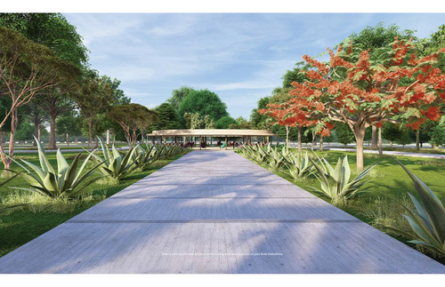 Lotes Residenciales En Venta Casa Kokob Ubicados En Tixkokob, Yucatán.