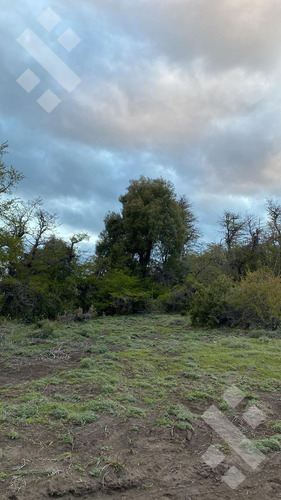 Terreno En Nuevo Kaleuche.
