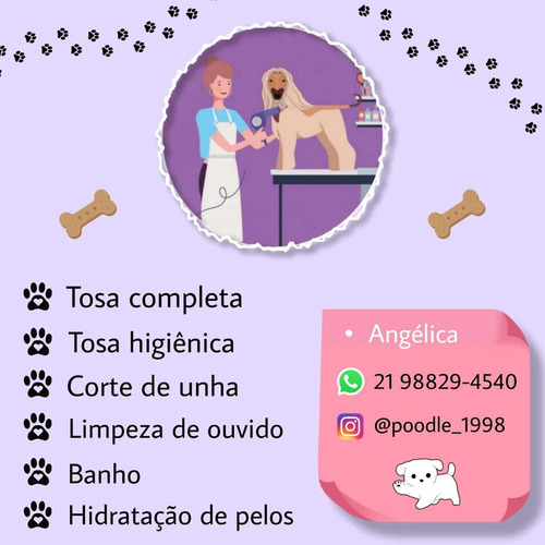 Imagem 1 de 1 de Tosa & Banho