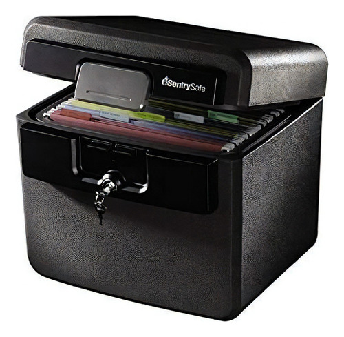 Caja fuerte SentrySafe HD4100