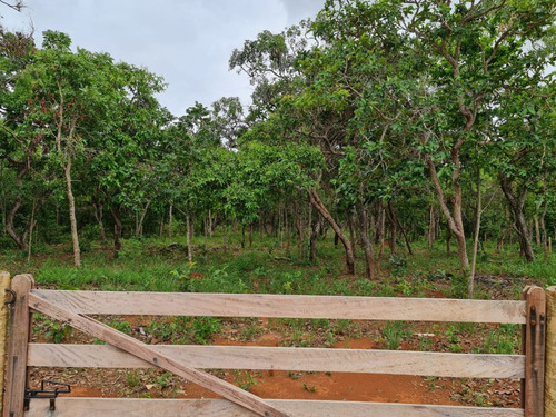 Vende-se Chácara Dos Sonhos A 60 Km De Goiânia