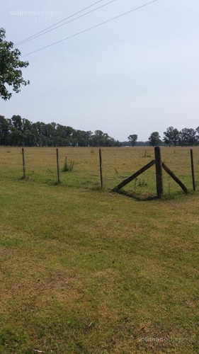 Excelente Campo De 35 Hectáreas En Mercedes