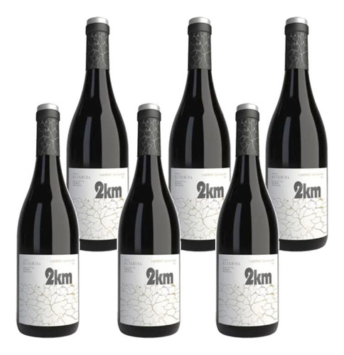 Vino 2 Km Cabernet Sauvignon Bodega Finca Beth 750 ml Pack X 6 u