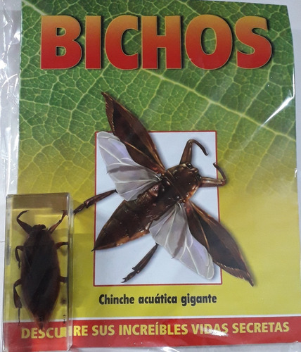 Bichos - Chinche Acuatica Gigante + Fasiculo - Rba