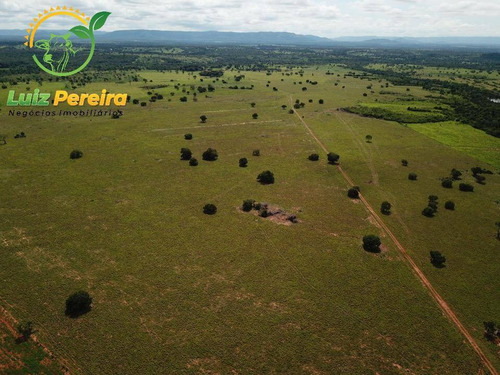 Imagem 1 de 15 de Fazenda À Venda Em Fátima - To-excelente P/ Lavoura, Plantio De Até 800 Hec - 1617