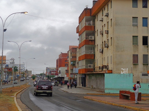 Imagen 3 de 5 de Terreno En Valle De La Pascua, Avenida Romulo Gallegos