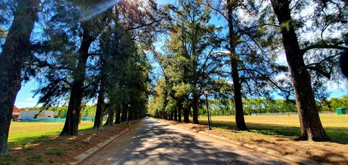 Imagen 17 de 23 de Terreno Azahares Del Paraná - Fighiera - 910m2