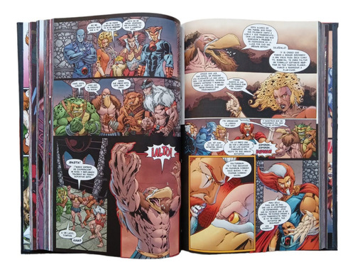 Thundercats. La Colección. Español. Custom Editorial Vid.