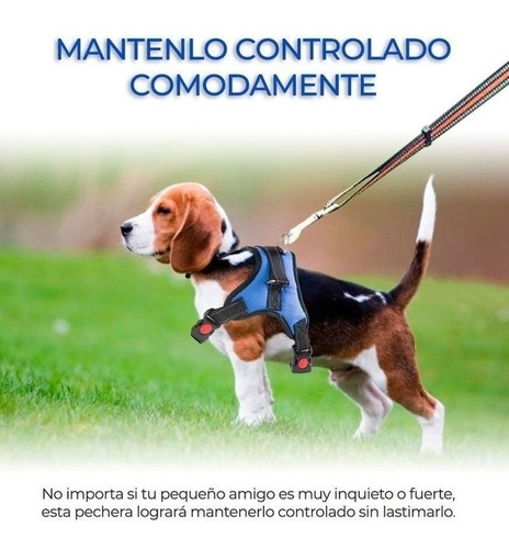 Pechera Arnés Para Perro Mascota Ajustable - Pet Dog